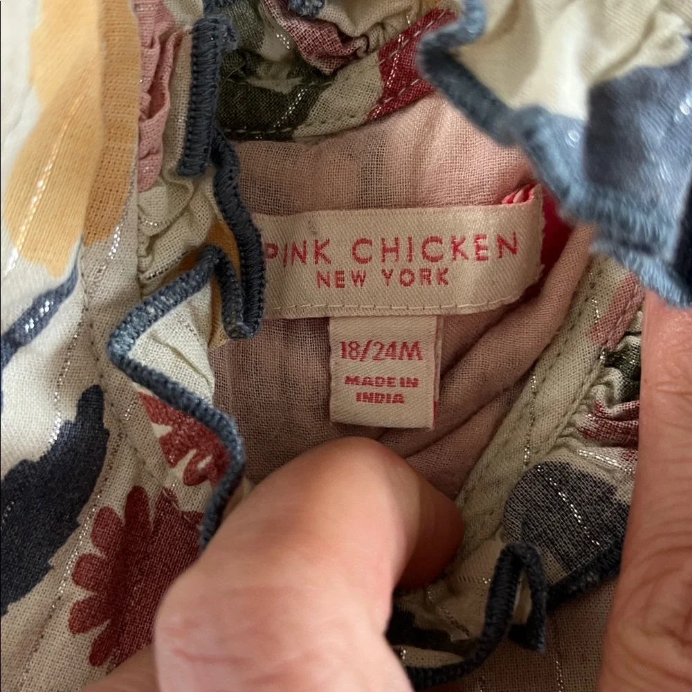 NWOT Pink Chicken 18-24M Jennifer Dress Set in Paper Floral